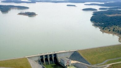 Calm water and shoreline at a Corps of Engineers lake near Mt. Juliet, Tennessee