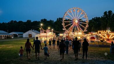 County fair midway with a lit ferris wheel at dusk (illustrative)