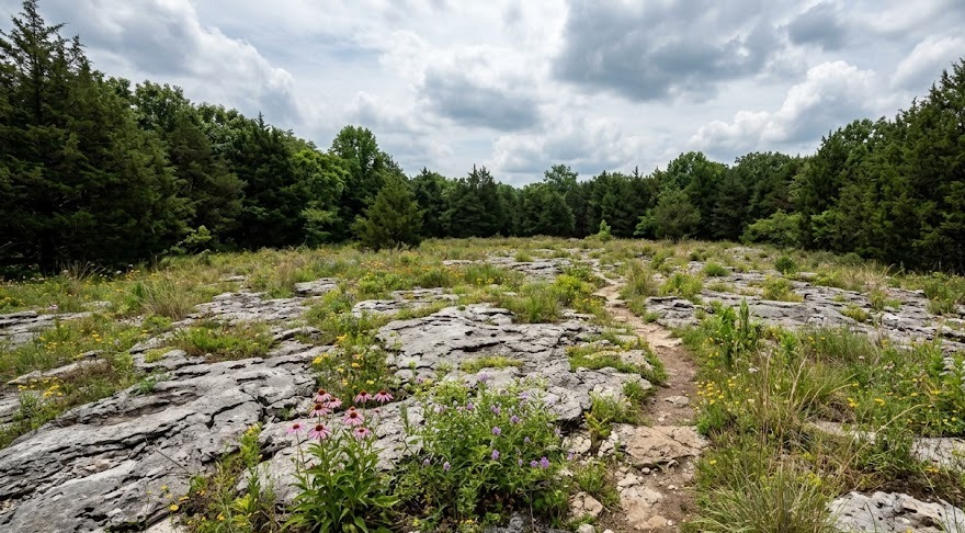 A shaded cedar glade trail (illustrative)