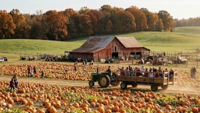 Hay wagon of families rolling through a Middle Tennessee pumpkin patch farm in autumn (illustrative)