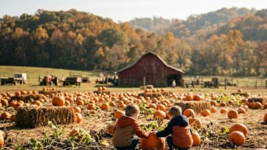 Two children picking pumpkins on a Middle Tennessee farm in autumn (illustrative)