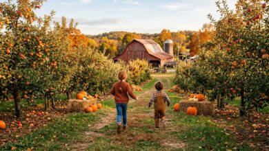 Two children, seen from behind, run between rows of fruit trees toward a red barn on a sunny fall afternoon.