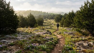 A narrow trail crosses a rocky cedar glade with spring wildflowers and red cedars, a distant hiker walking away in morning light.
